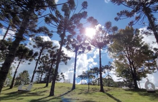 Clima seco vai se intensificar no estado de São Paulo durante o fim de semana